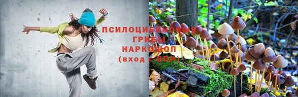 mdpv Алзамай