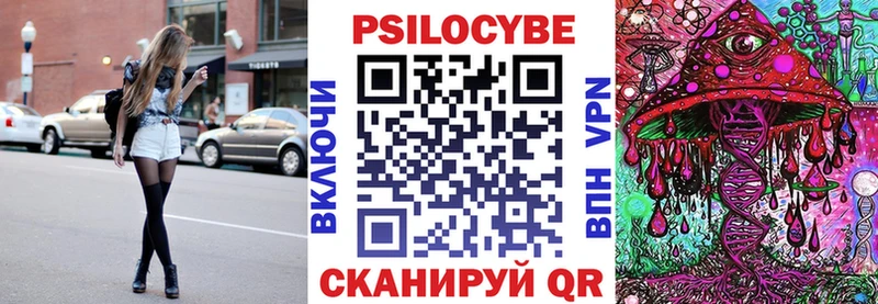 наркотики  Аткарск  Галлюциногенные грибы Psilocybine cubensis 